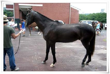 ���ؾ�ħ ����