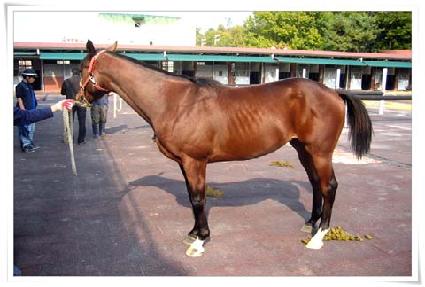 ����Ʈ���� ����