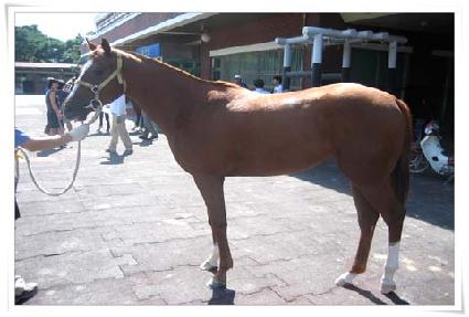 ��Ÿ�� ����