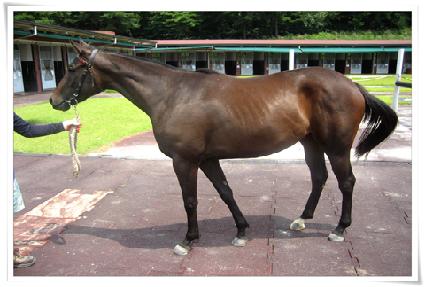 ������ ����