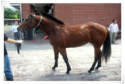 ����ǳ ����