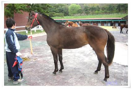 ü��Ű�� ����