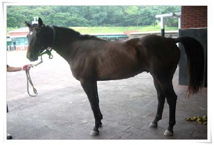 ��Ű�Ͻ� ����