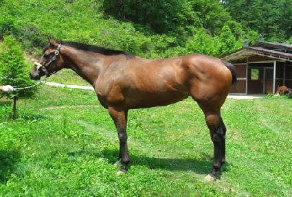 ū���� ����