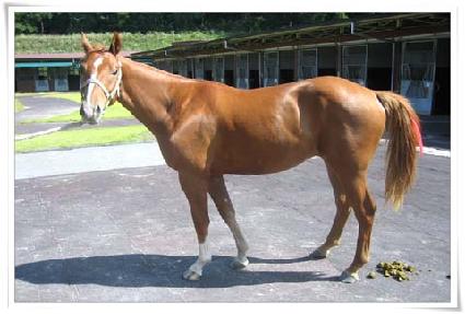 �̽��ͷ�Ű ����