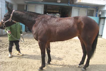 ������� ����