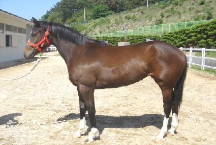 ģ������ ����