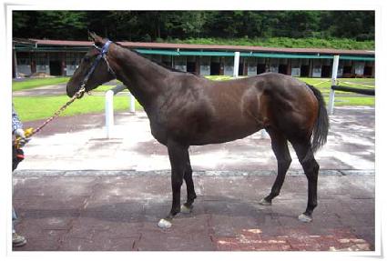 �����帮�� ����