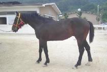 �����ǹ��� (SEONGSANUI BEONGAE) ����