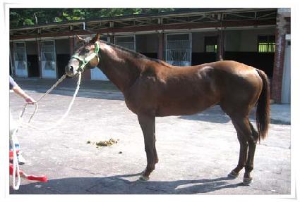 ���������� ����