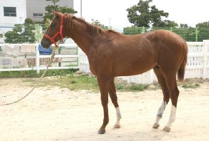 Ŀ�ֽ��� ����