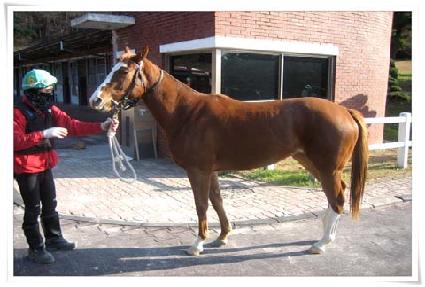 ���ε帮�� ����