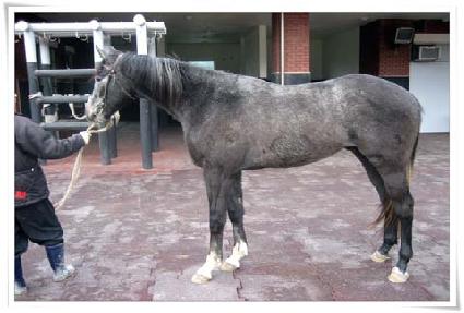 ��ź ����