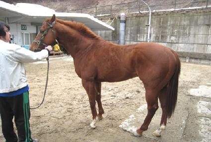 �ɳ� ����