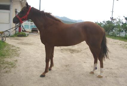 ������� ����