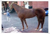 ���� (BAEKSADAN) ����