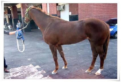 ���� ����