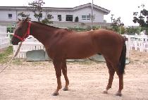 �����ְ� (MYEONGMUN CHOEGANG) ����