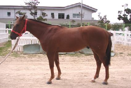 �����ְ� ����