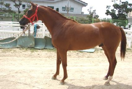 ��Ű���̽� ����