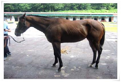 ����ġ�� ����