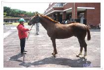 Ž�� (TAMNA) ����