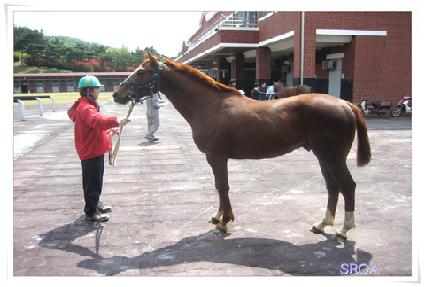 Ž�� ����