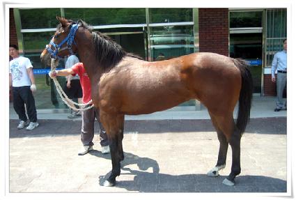 ����ȯ�� ����