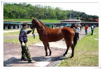 Ȳ�ǰ��� (HWANGSILGONGJU) ����