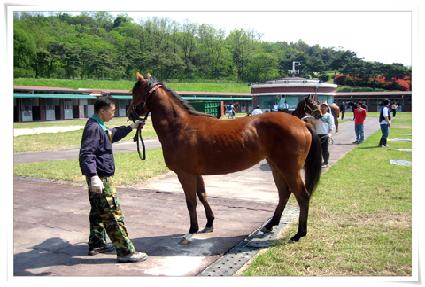 Ȳ�ǰ��� ����