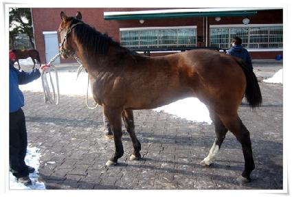 ��߼� ����