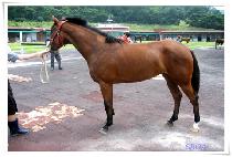 ���� (BOKGIL) ����