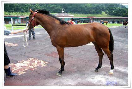 ���� ����