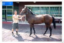 �¿ռ� (TAEWANGSEONG) ����