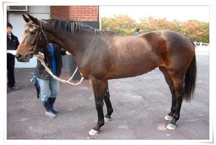 ������ ����