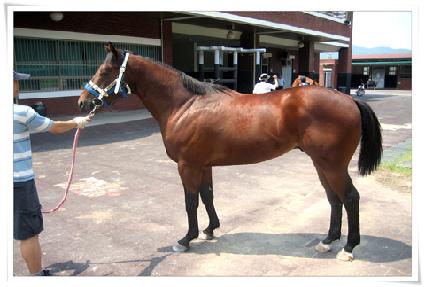 Ǯ���� ����