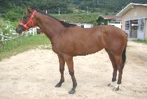 ���ο���� (SAEROUN GONGJU) ����