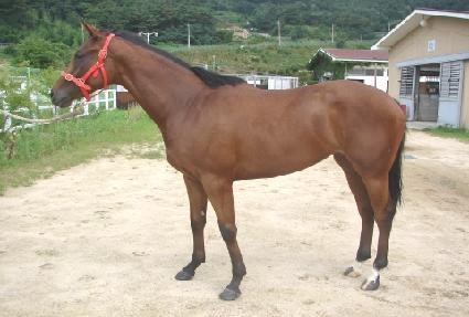 ���ο���� ����