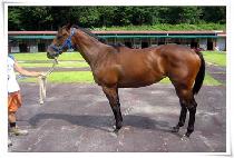 ������� (JEONTONG DANCE) ����