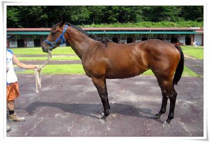 ������� ����