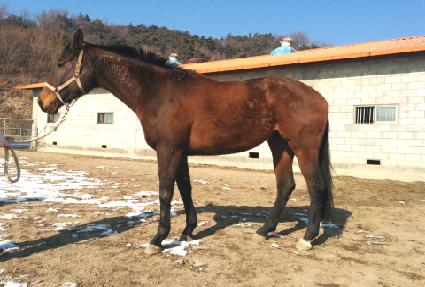 õ���ǿ��� ����