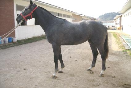 �ְ��Ǻ� ����