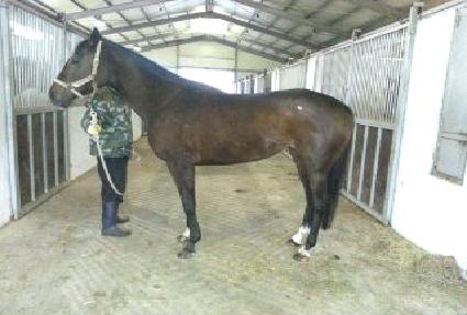 ��������Ʈ ����