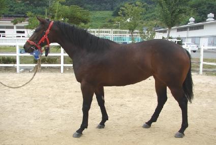 ����ź�� ����