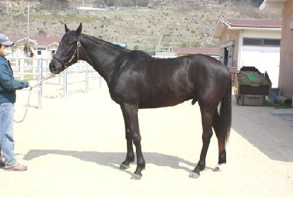 �������� ����