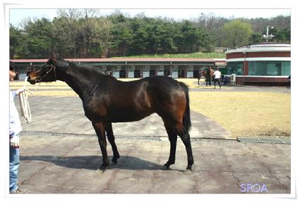 ���� ����