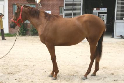 ����ĵ ����