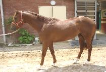 ���ѵ��� (MUHAN DOLPA) ����