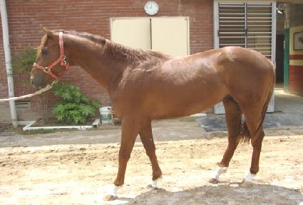 ���ѵ��� ����