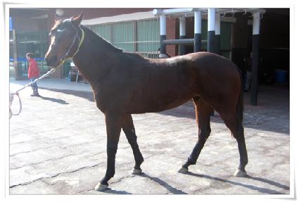 �������̵� ����